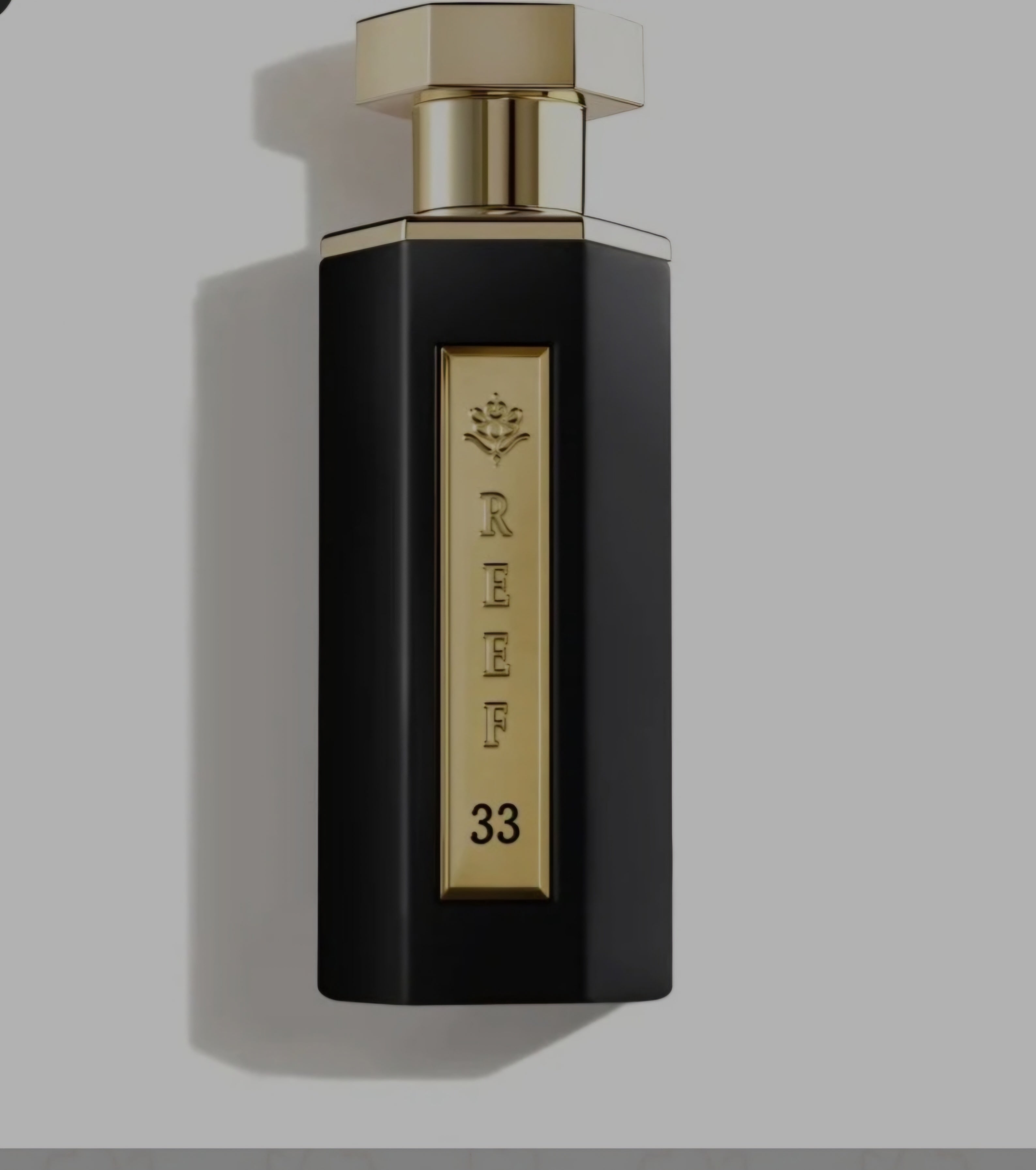 REEF 33